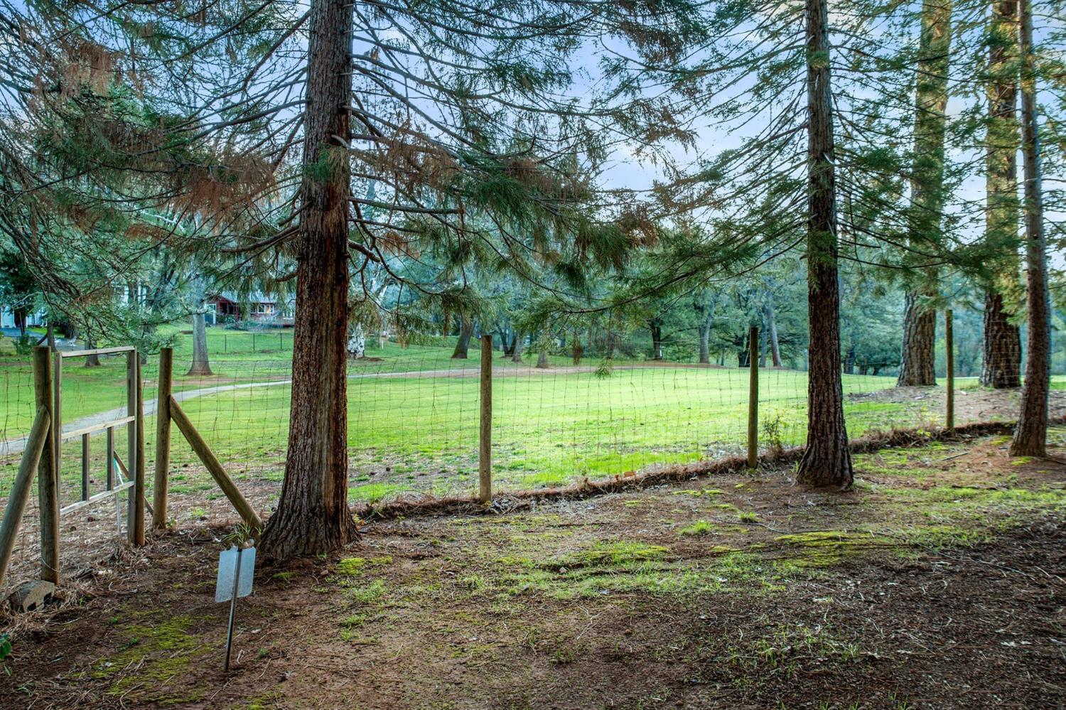 Norlene Way, Grass Valley, CA 95949
