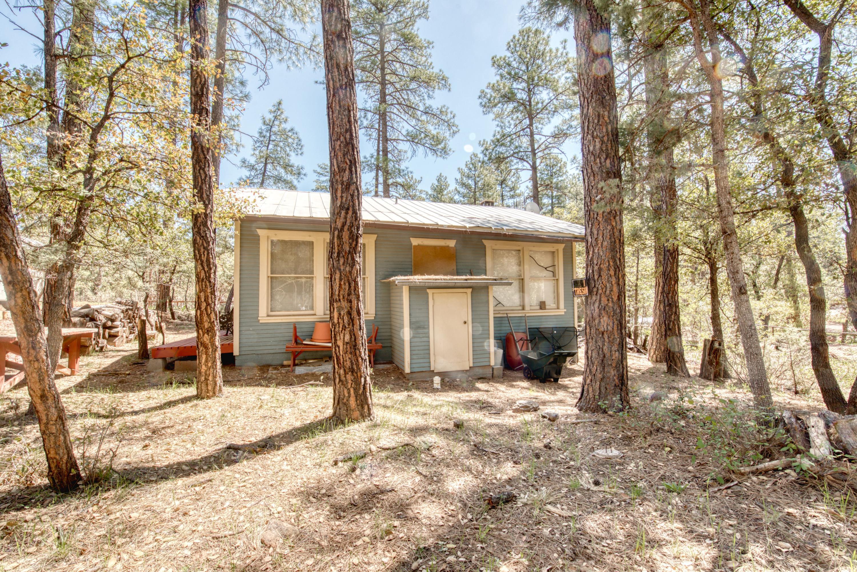 N Navajo Dr, Pine, AZ 85544
