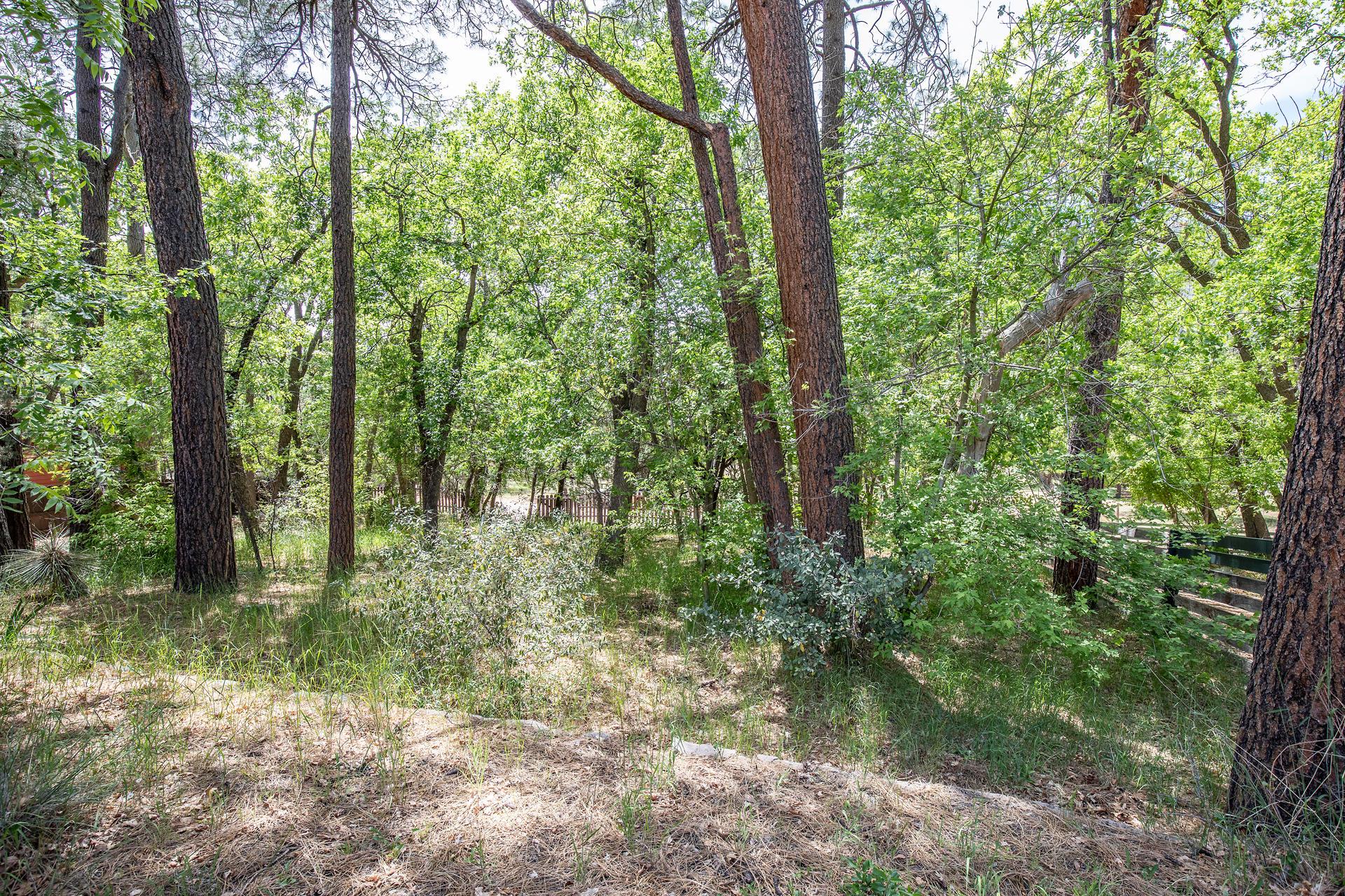 N Walnut Ln, Pine, AZ 85544