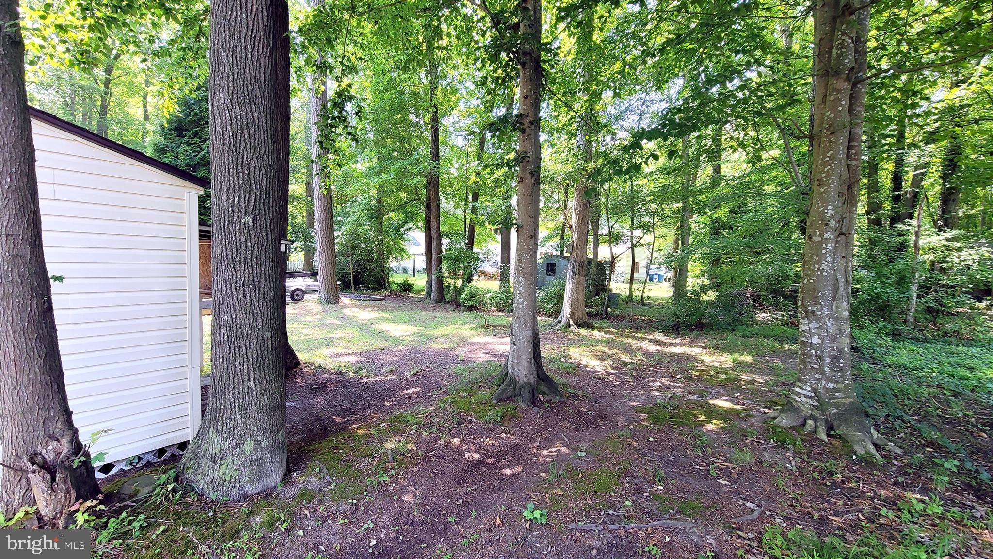 Saint Martins Ln, Berlin, MD 21811