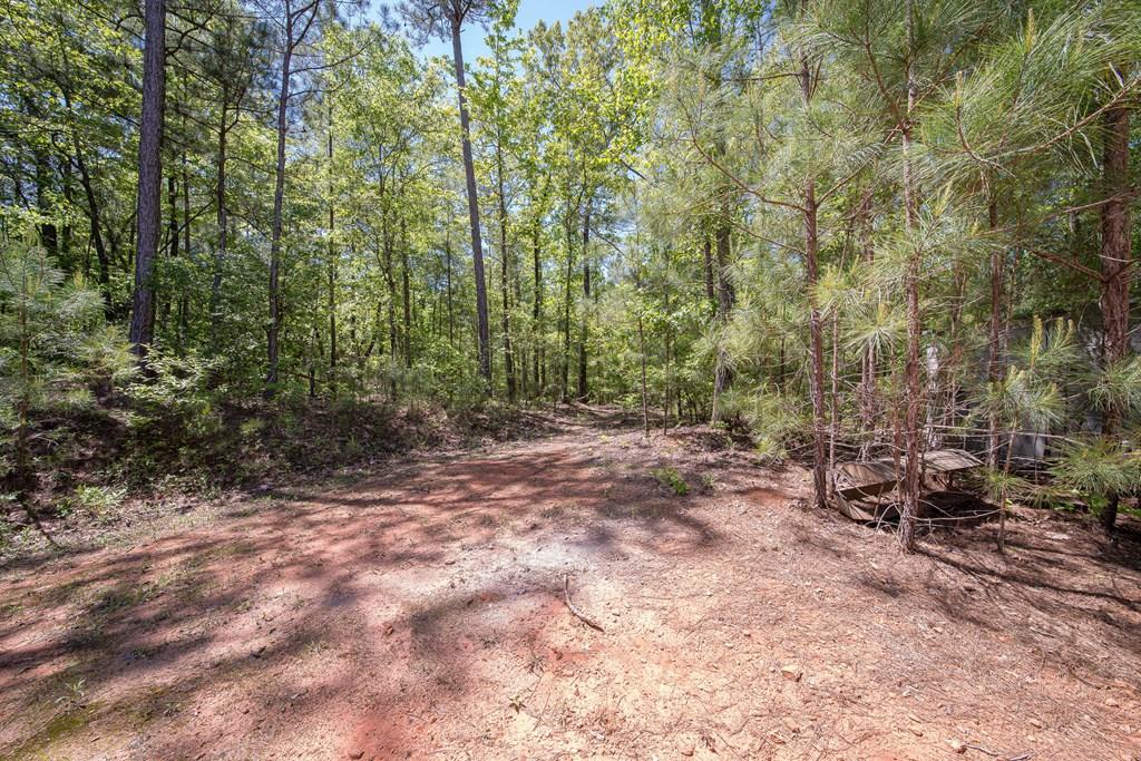 Copeland Rd, Hamilton, GA 31811