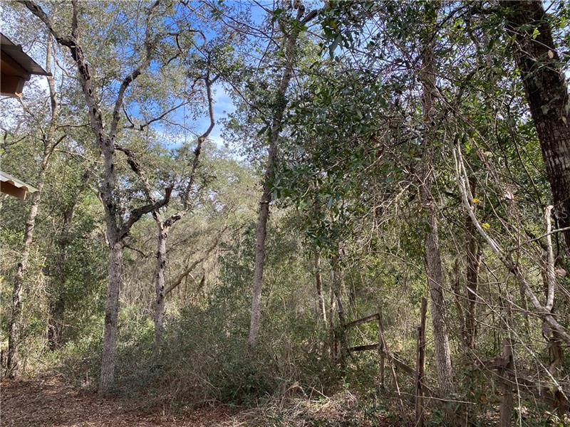 Se 92nd Pl, Ocklawaha, FL 32179