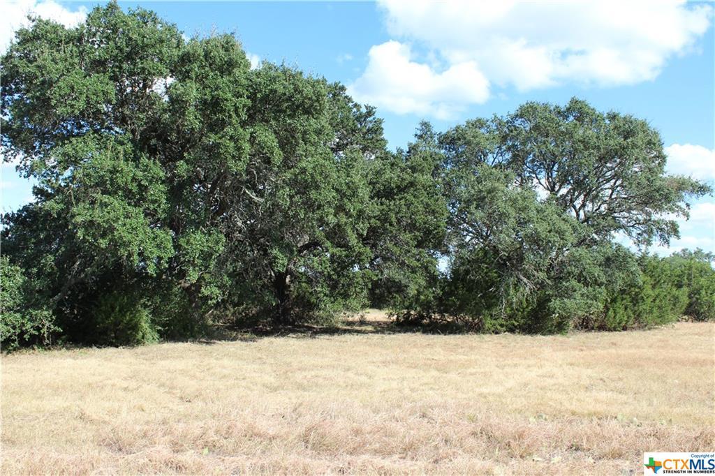 Shiny Top Ranch Ln, Salado, TX 76571