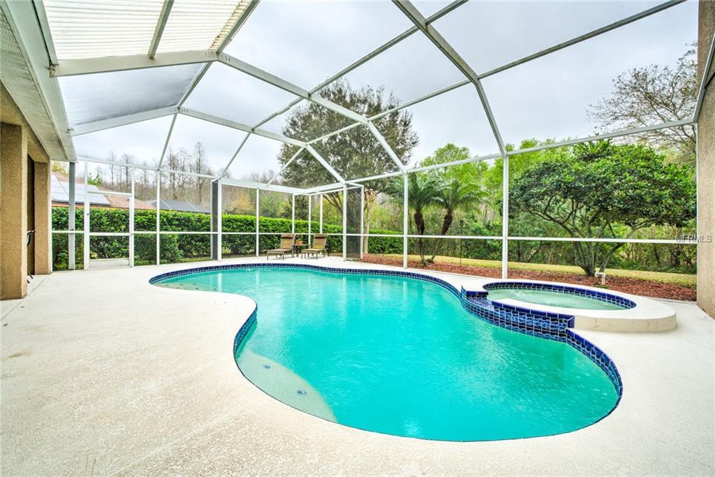 Chopin Dr, Lutz, FL 33558