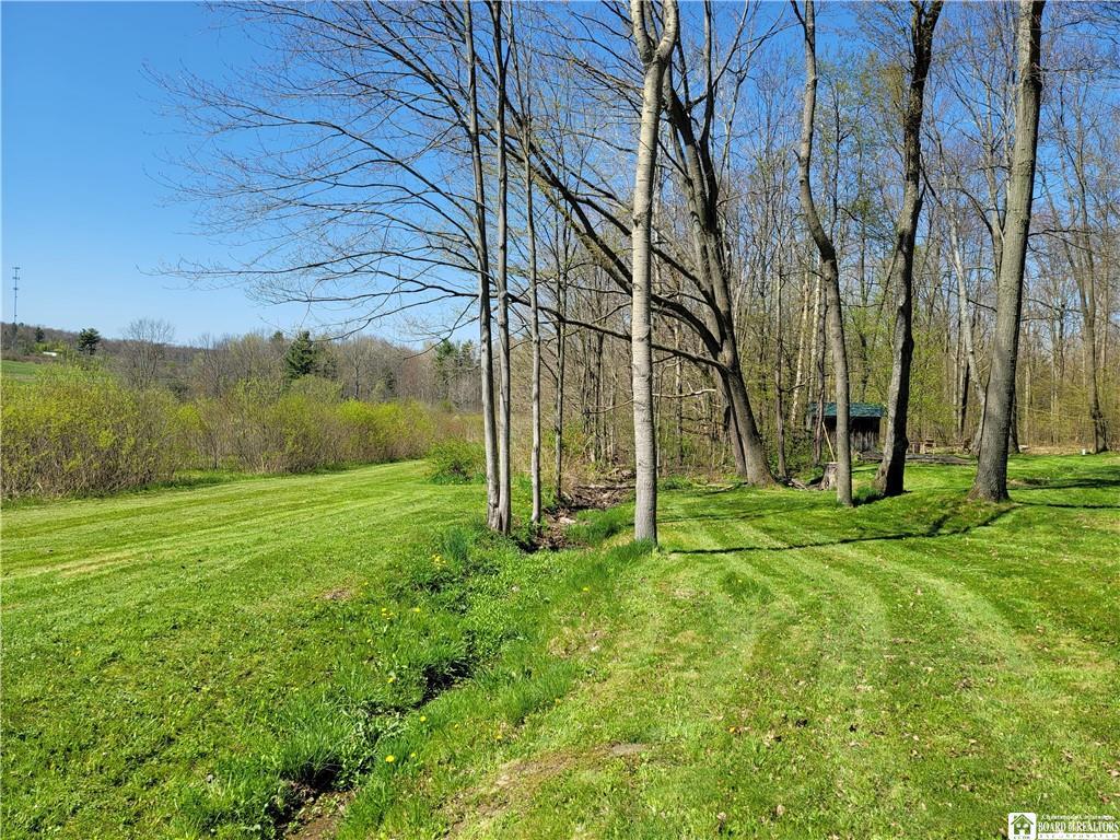Eccles Rd, Kennedy, NY 14747