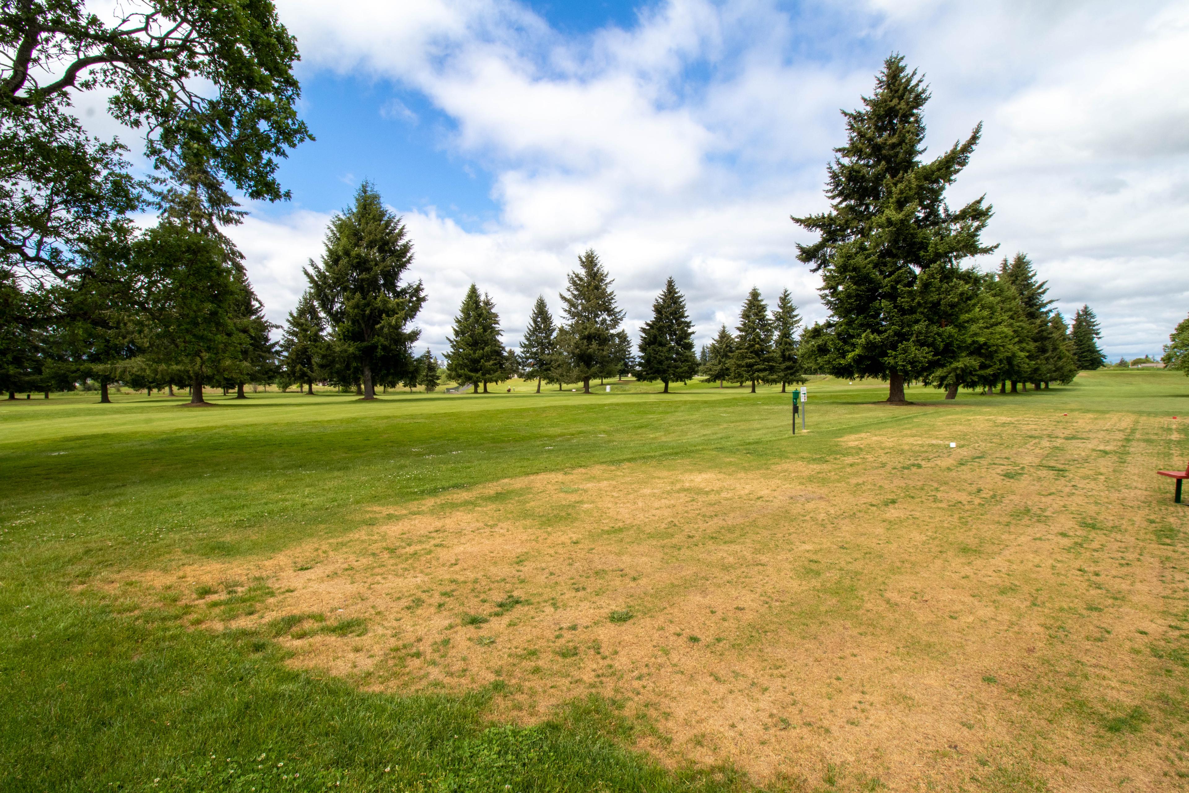 105th Ave Se, Yelm, WA 98597