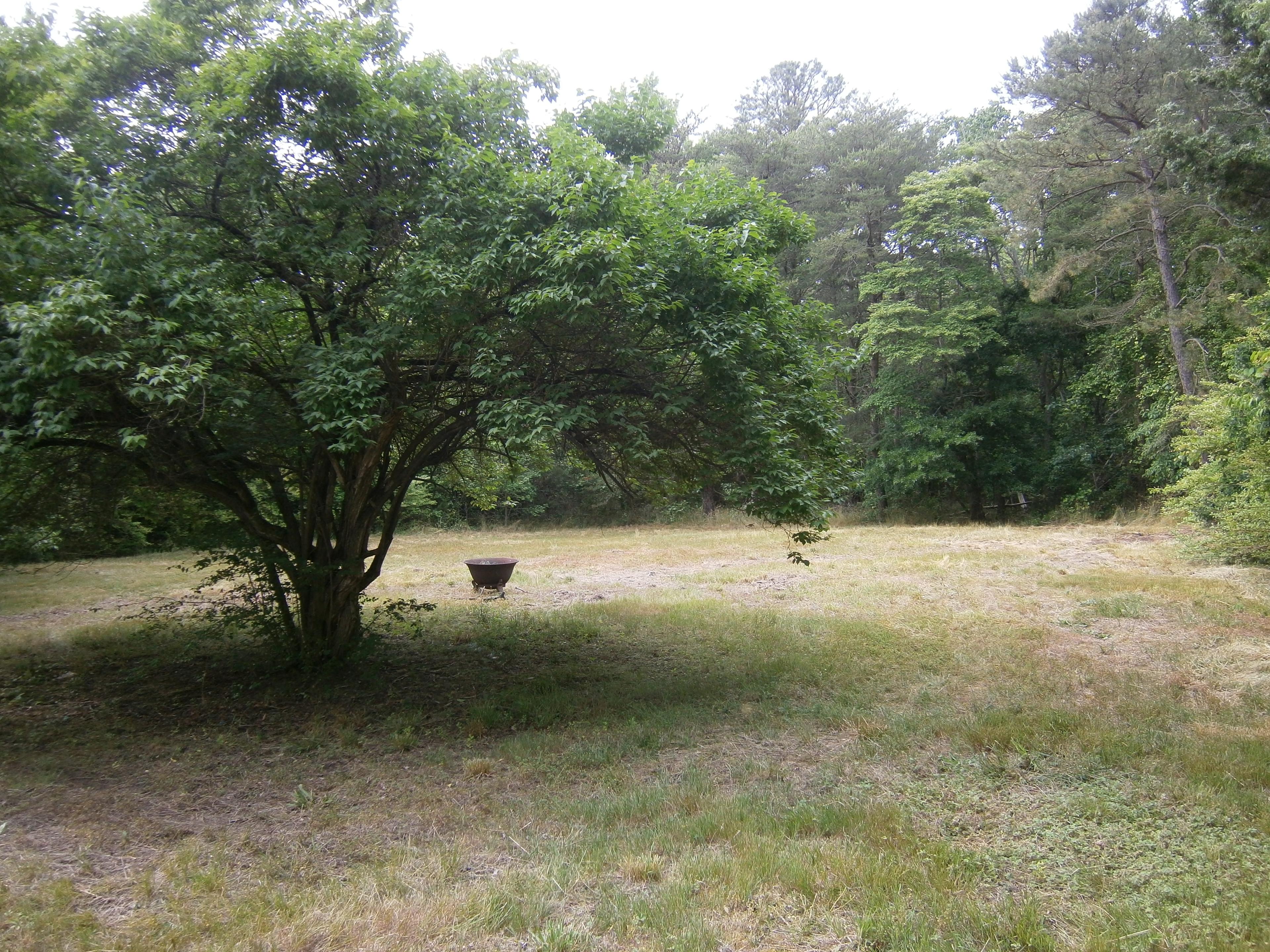 Dias Creek Rd, Cape May Court House, NJ 08210