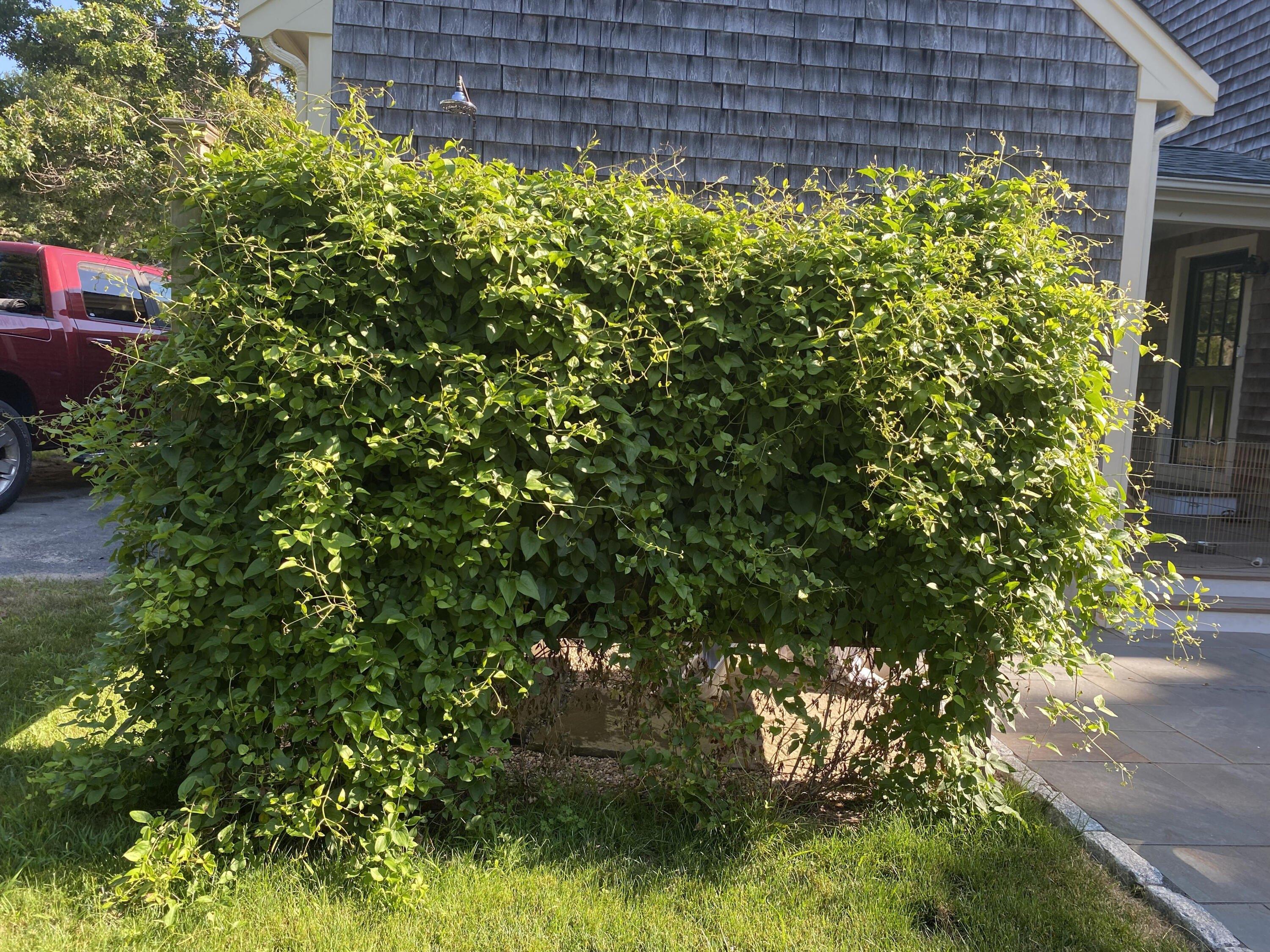 Eli Ln, East Falmouth, MA 02536