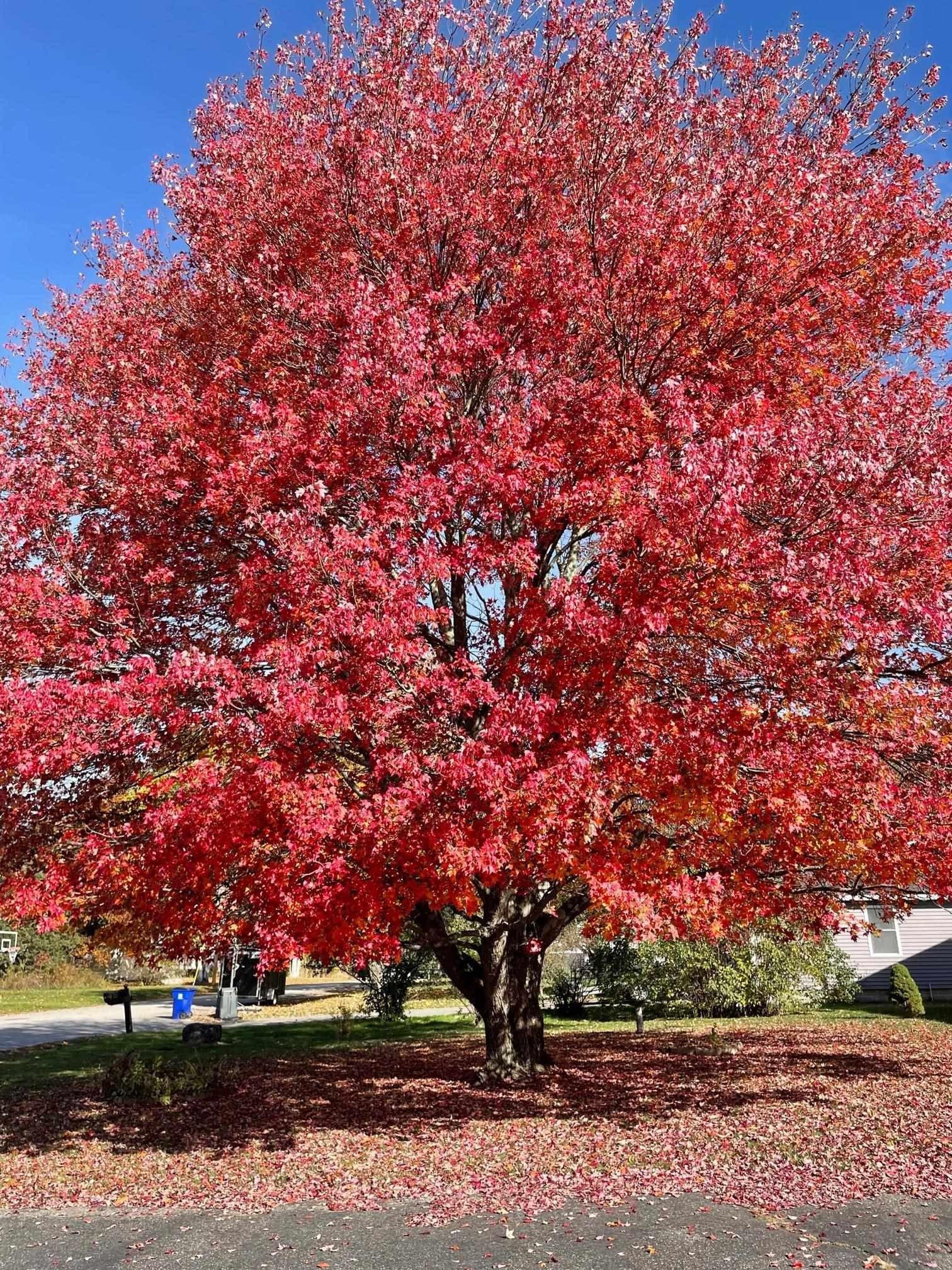 Wayside Dr, Exeter, NH 03833