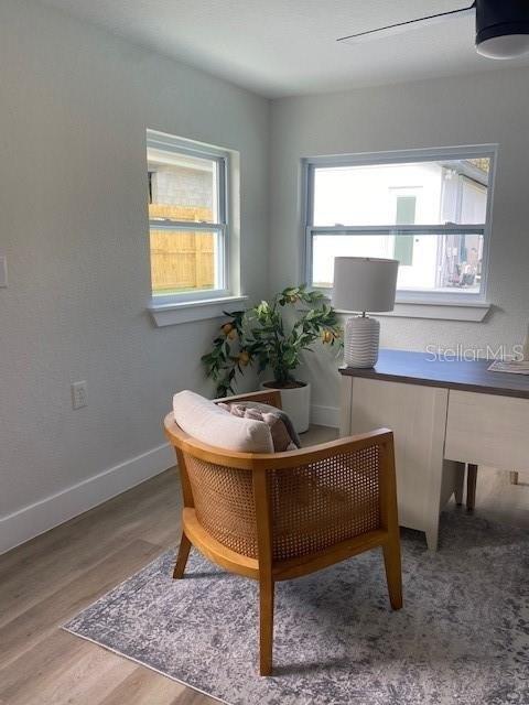 Dorothy St, Lakeland, FL 33815