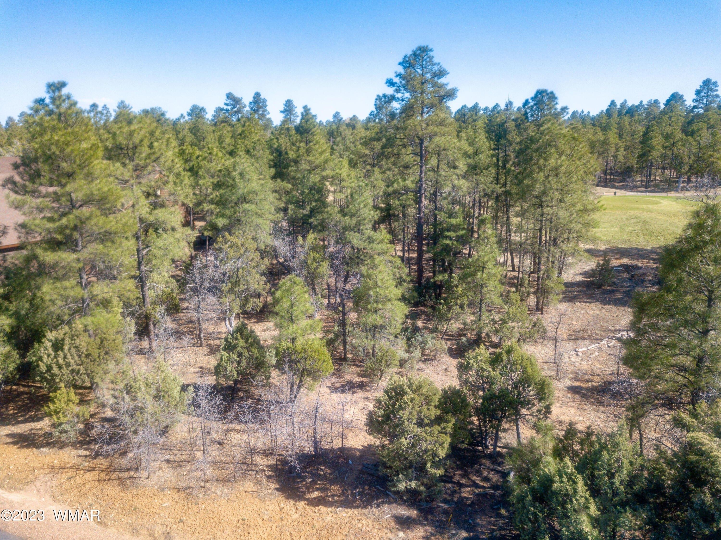 W Hawthorn Rd, Show Low, AZ 85901