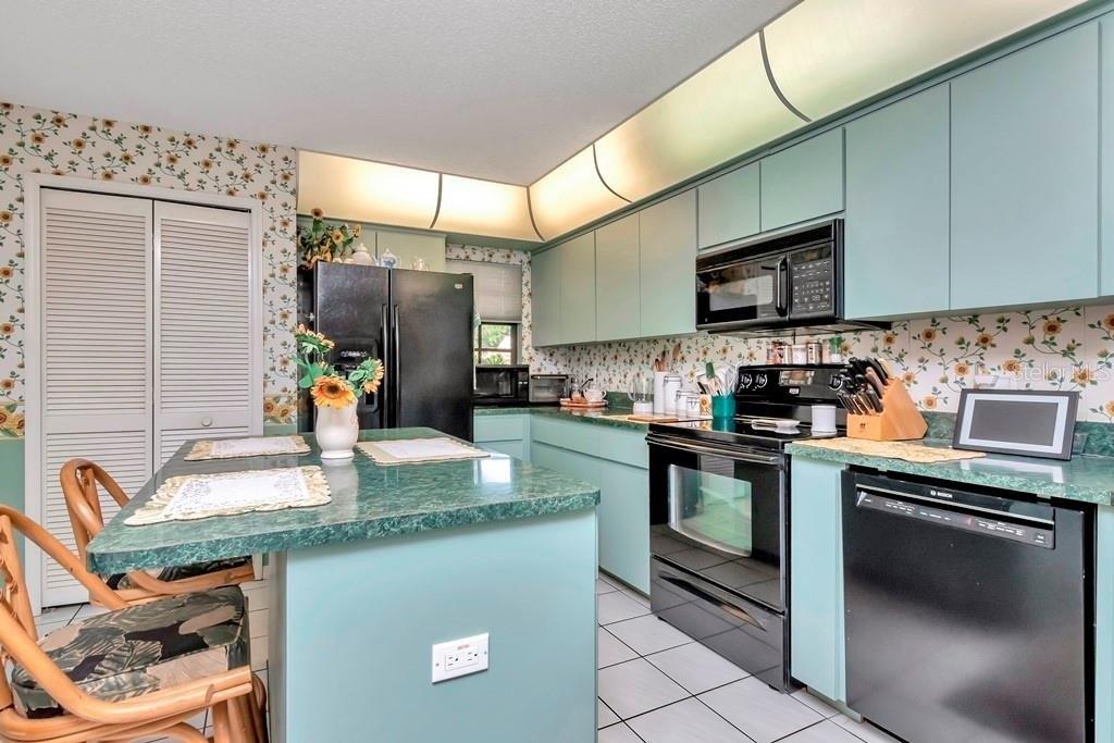 Palm Haven Ct, New Port Richey, FL 34655