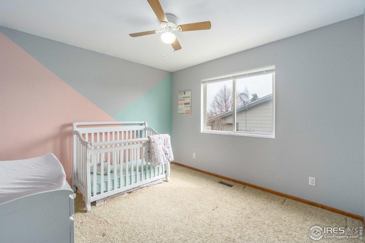 Lincoln Ct, Wellington, CO 80549