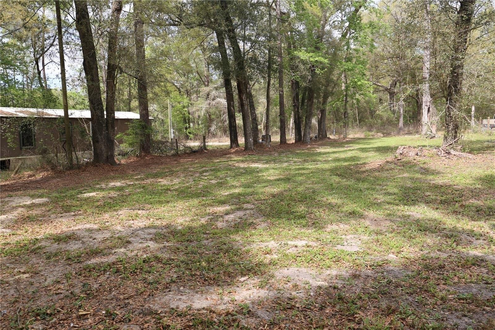 Sw 12th Pl, Bell, FL 32619