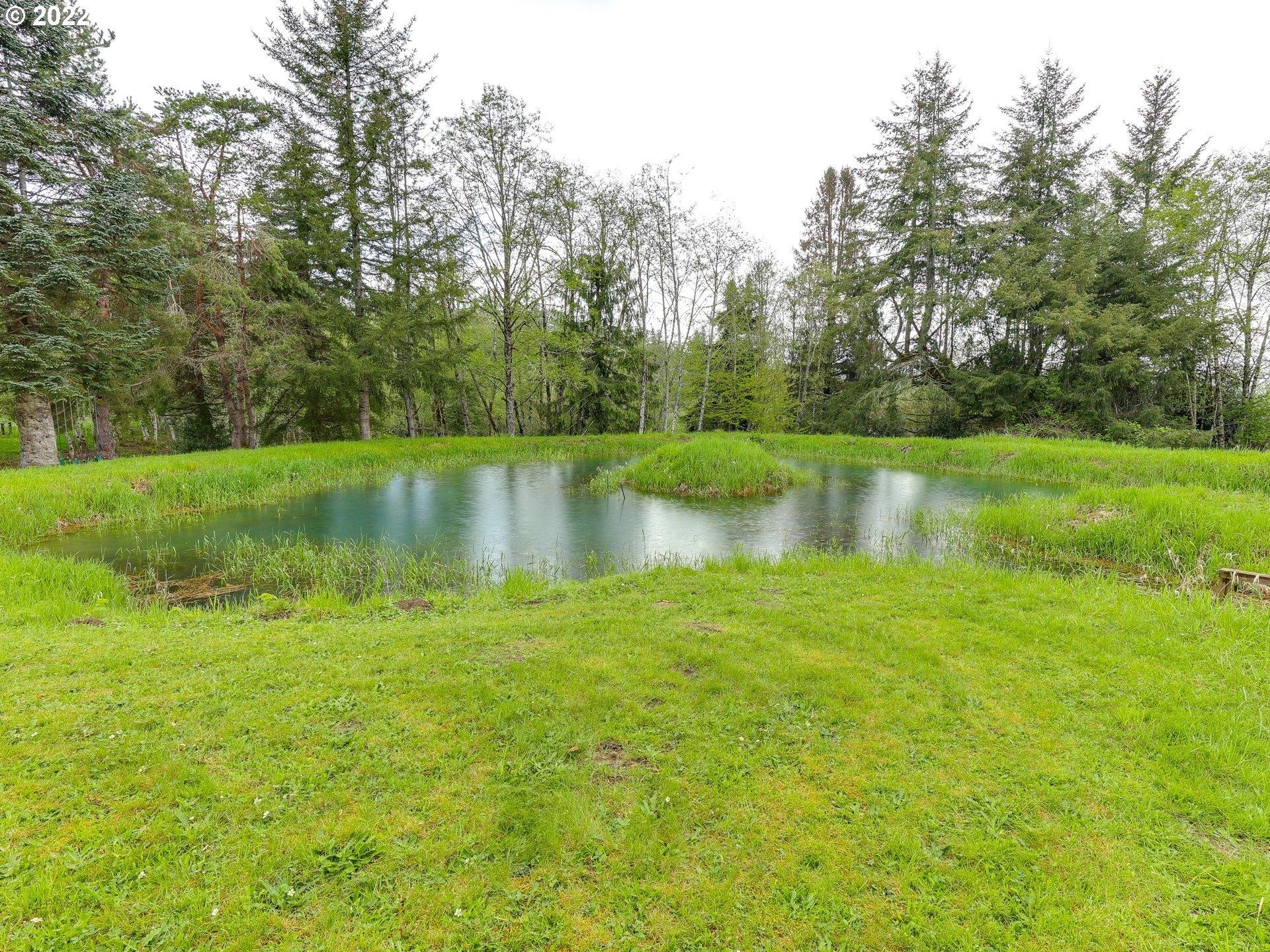 Ne 399th St, Amboy, WA 98601