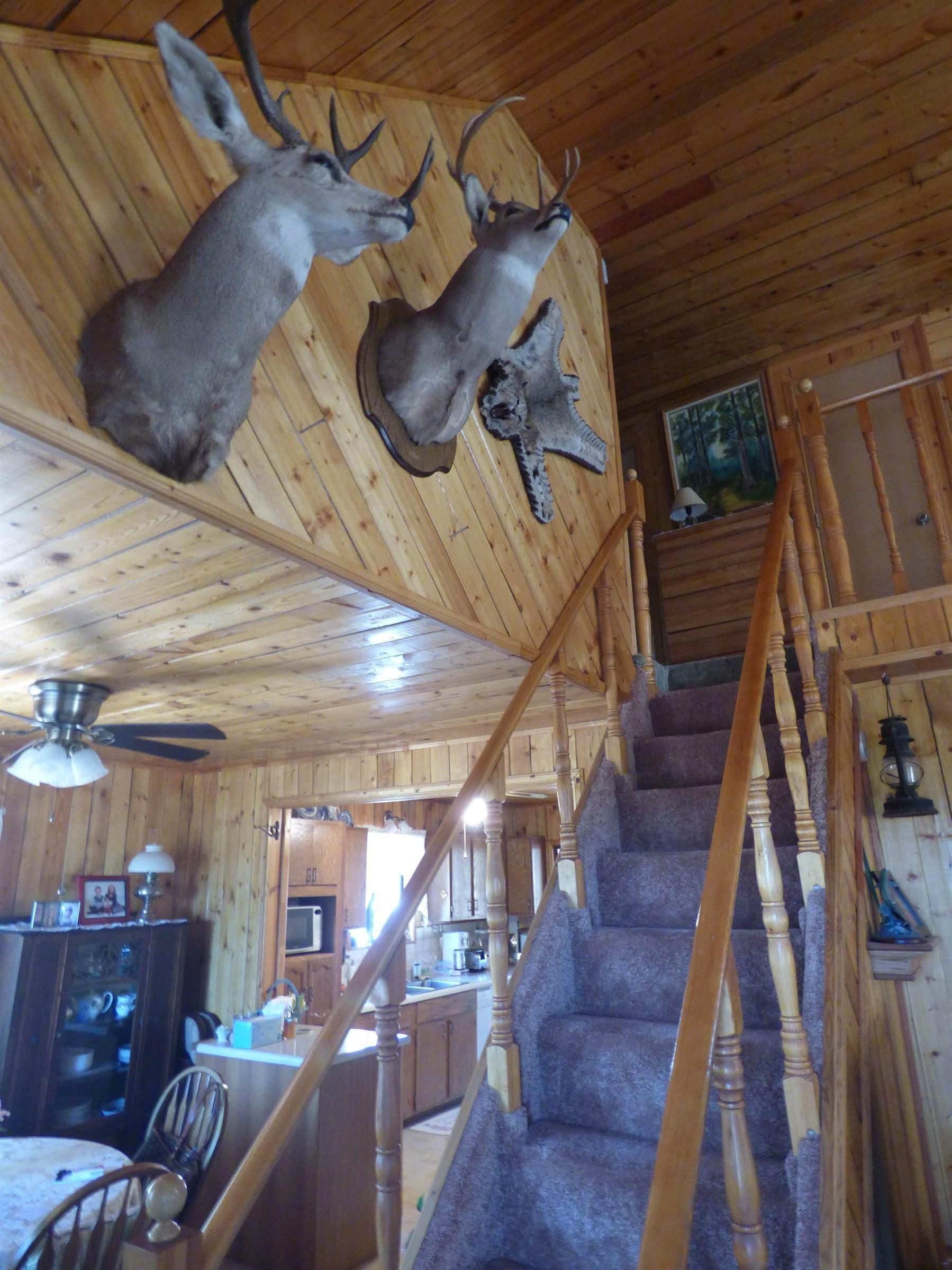 Loggers Ln, Show Low, AZ 85901