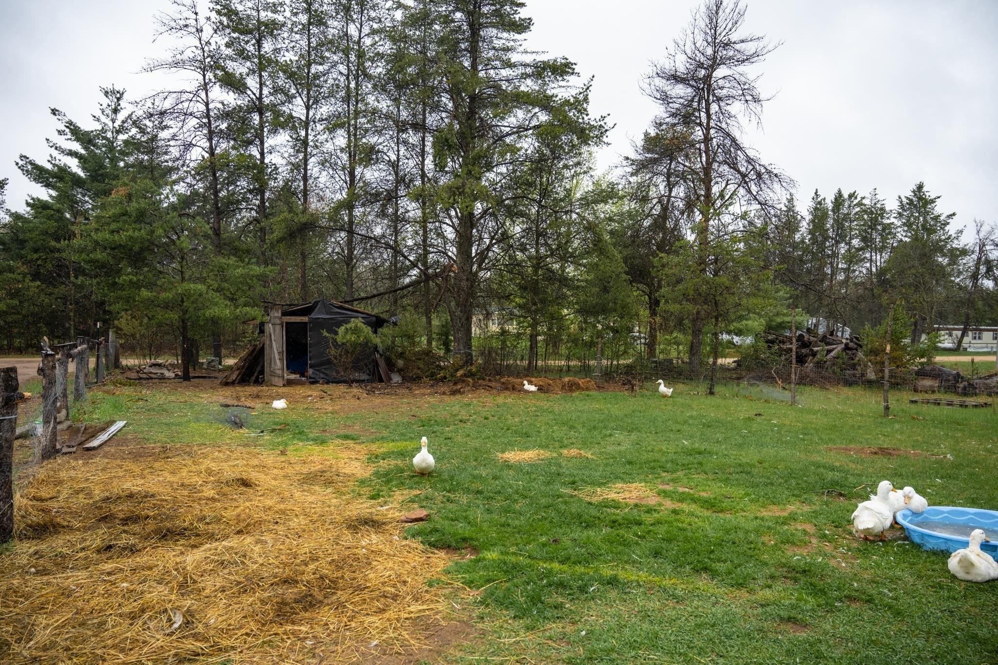 Neitzel Dr, New Lisbon, WI 53950