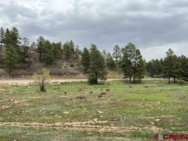 Jaunty Ct, Pagosa Springs, CO 81147
