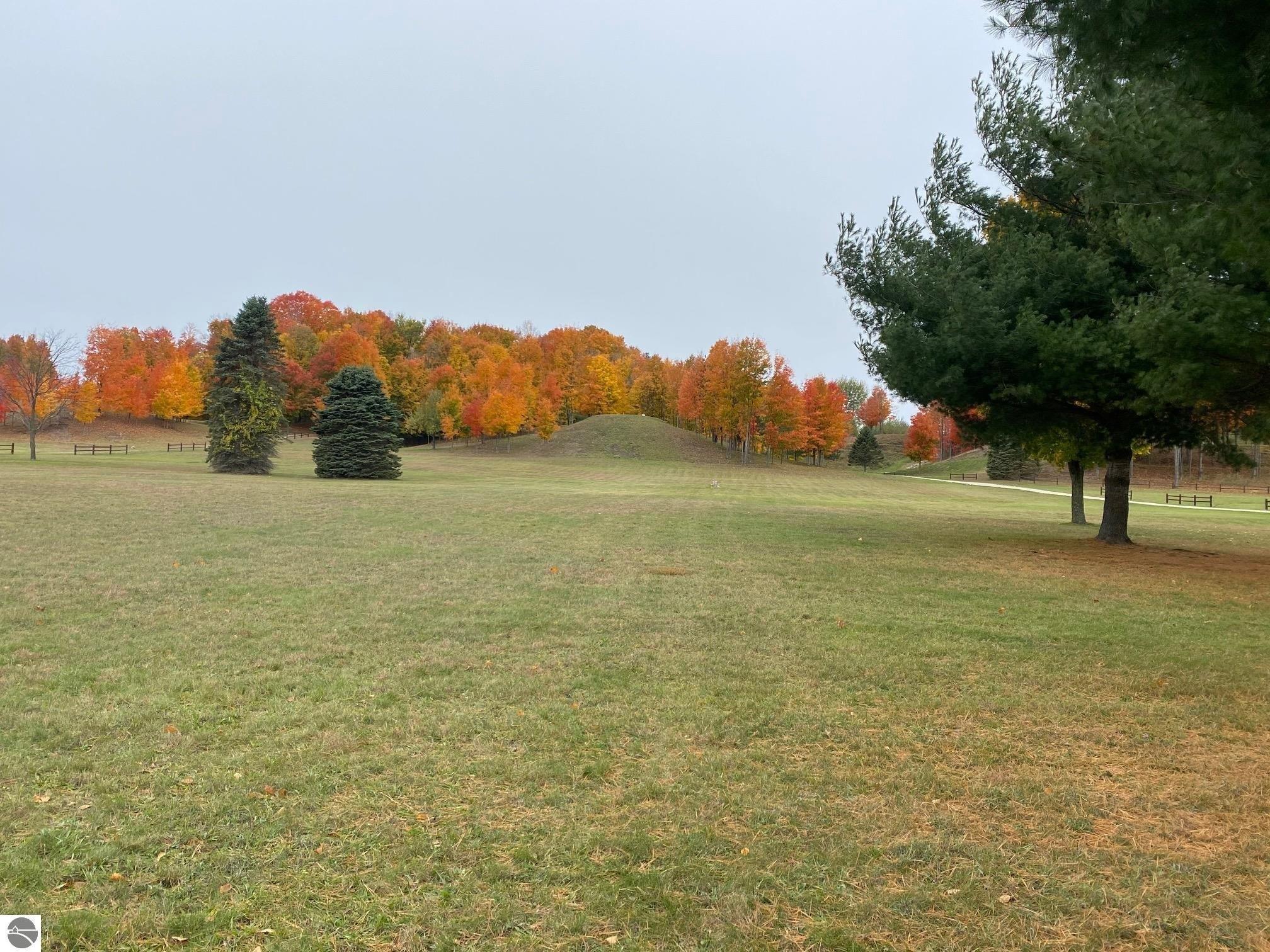 Cottage Dr, Bellaire, MI 49615
