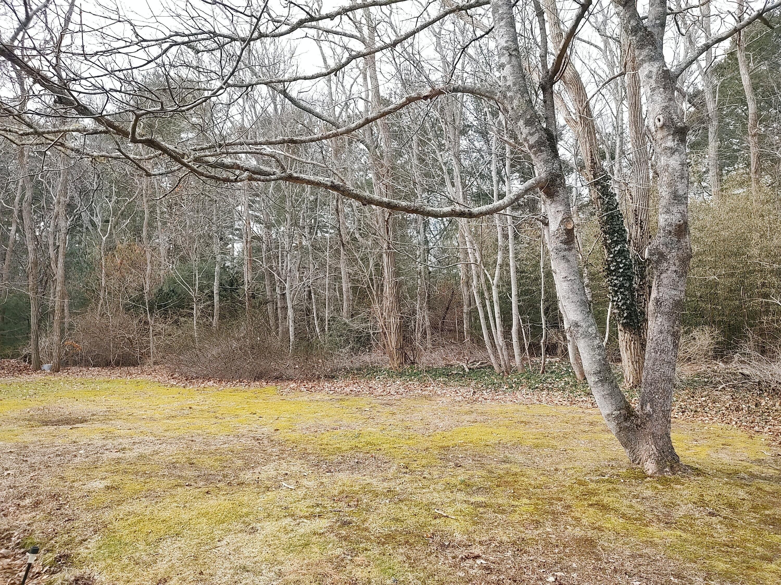 Santuit Newtown Rd, Cotuit, MA 02635