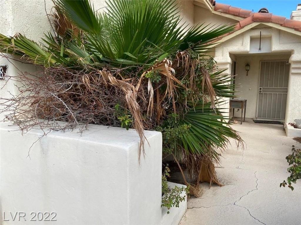 Walton Heath Ave, Las Vegas, NV 89142