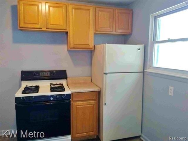 Buckingham Ave, Lincoln Park, MI 48146