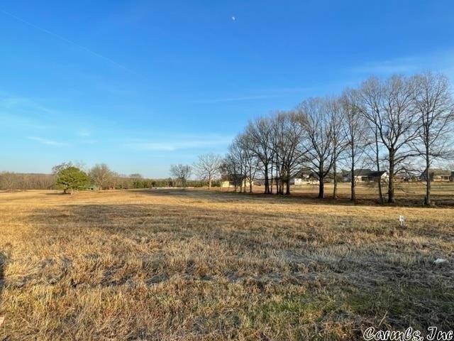 Irene Cir, Greenbrier, AR 72058
