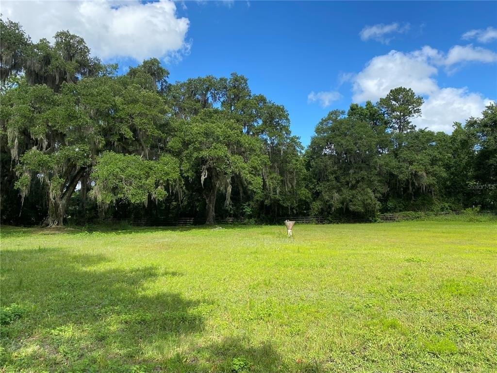 Nw 130th St, Reddick, FL 32686