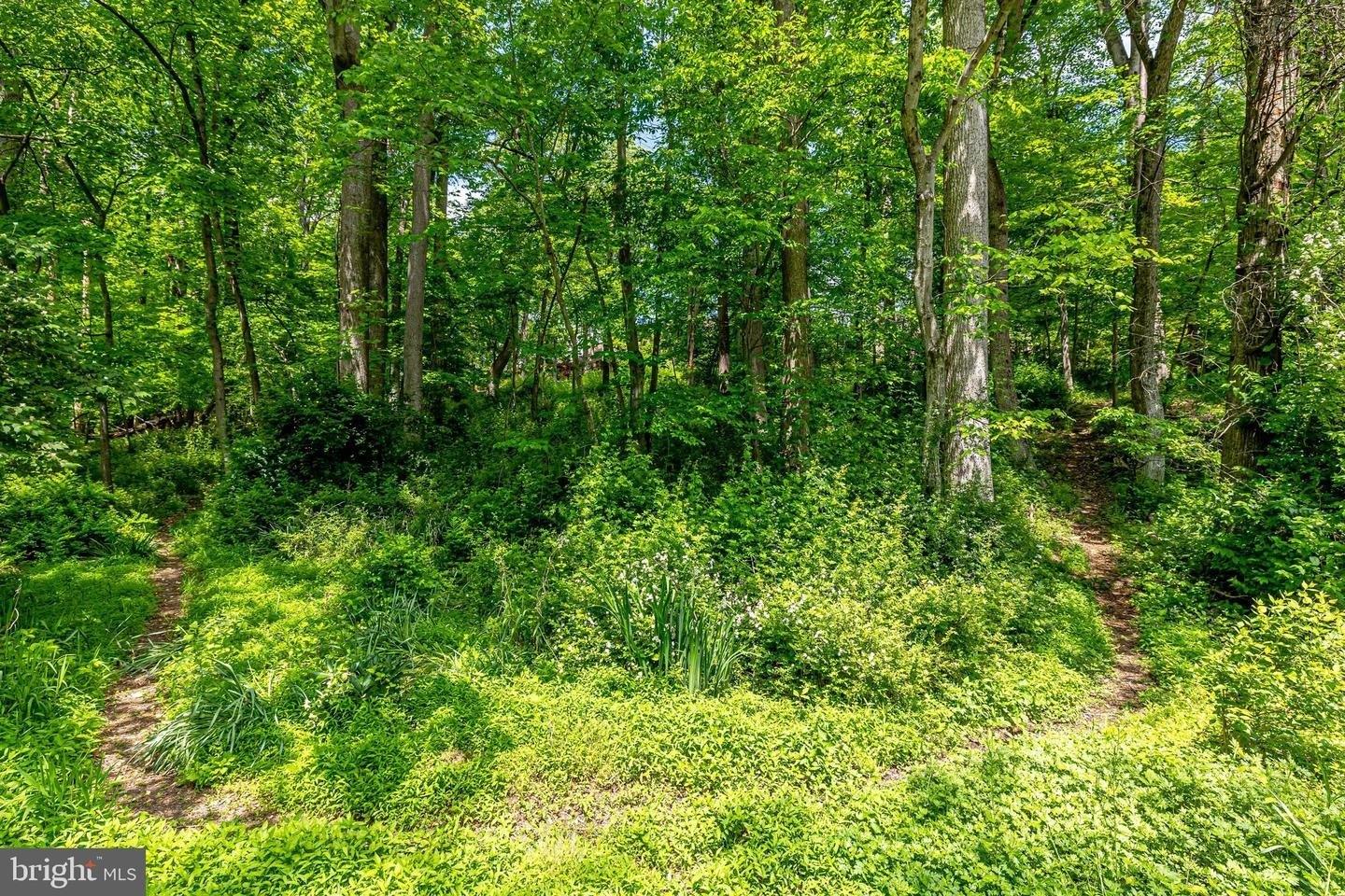 Colvin Forest Dr, Vienna, VA 22182