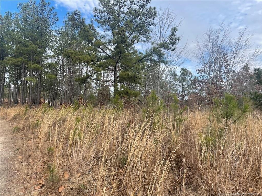 Lizzie Jeter Ln, Cameron, NC 28326