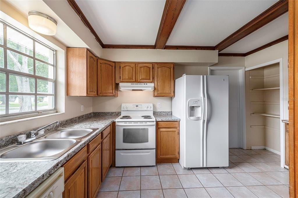 Hollow Oak Pl, Land O Lakes, FL 34639