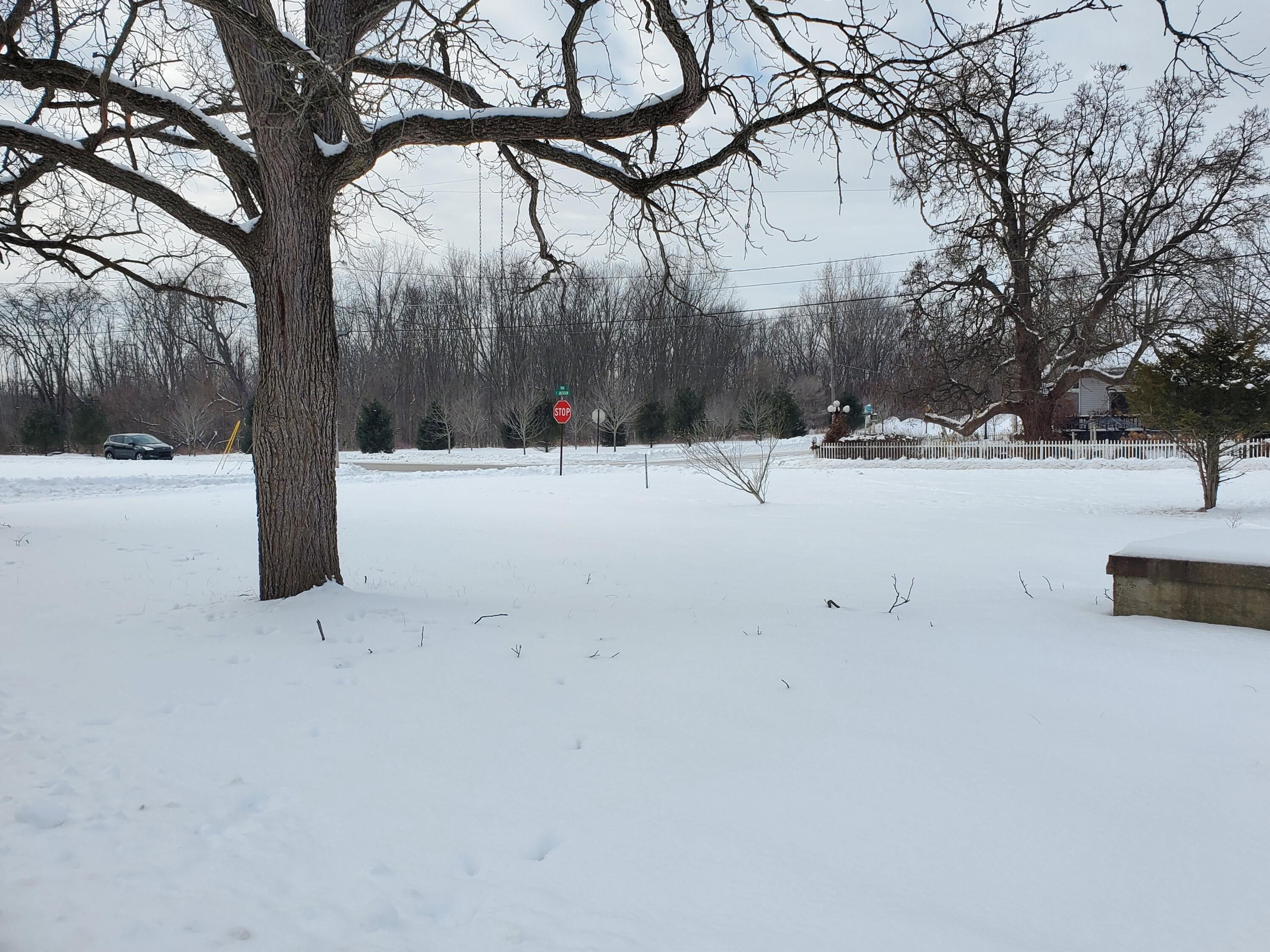S Division St, Lowell, MI 49331
