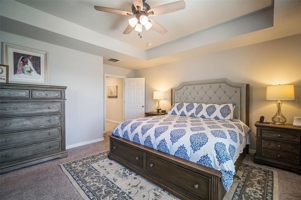 Paradiso Dr, Apollo Beach, FL 33572