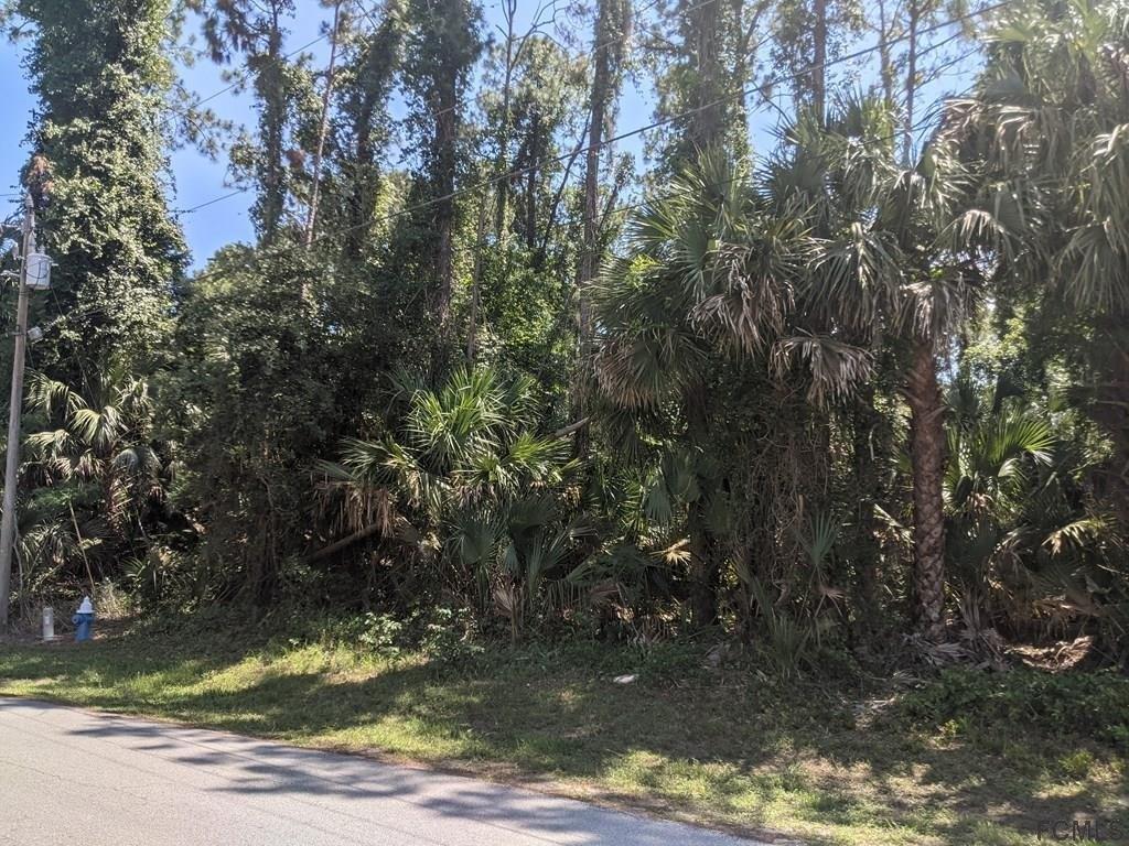 Piedmont Dr, Palm Coast, FL 32164