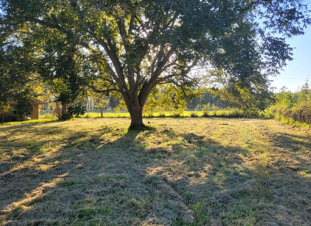 Old Sour Lake Rd, Beaumont, TX 77713