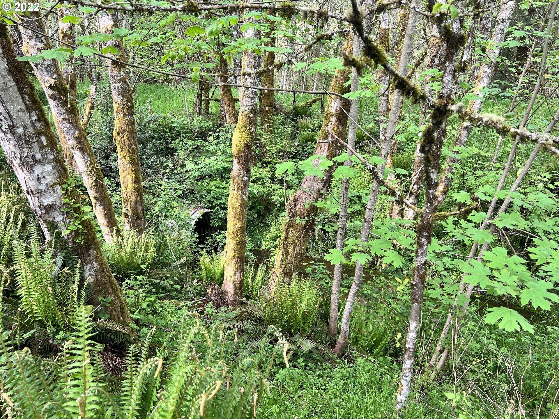 Ne 172nd Ave, Brush Prairie, WA 98606