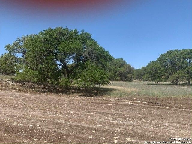 Annabelle Ave, Bulverde, TX 78163