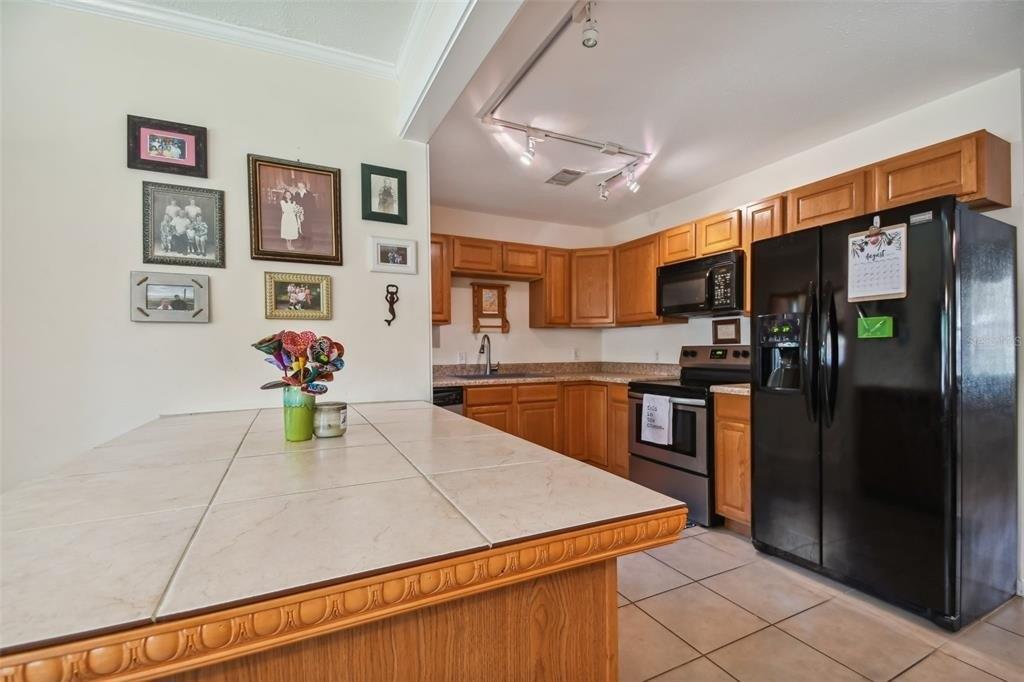 N Pineapple Ln, Eustis, FL 32726