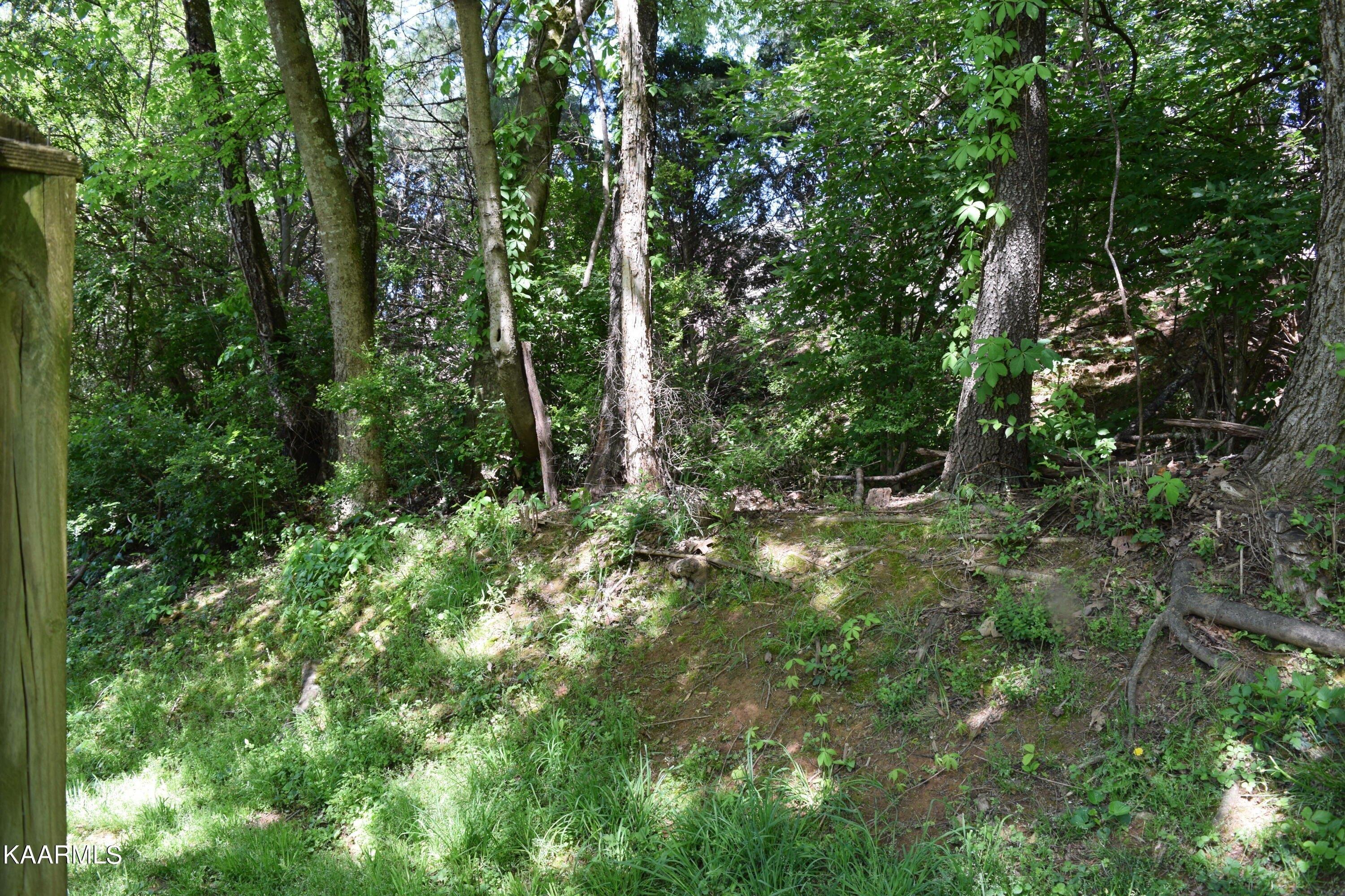 Shady Bend Ln, Knoxville, TN 37922