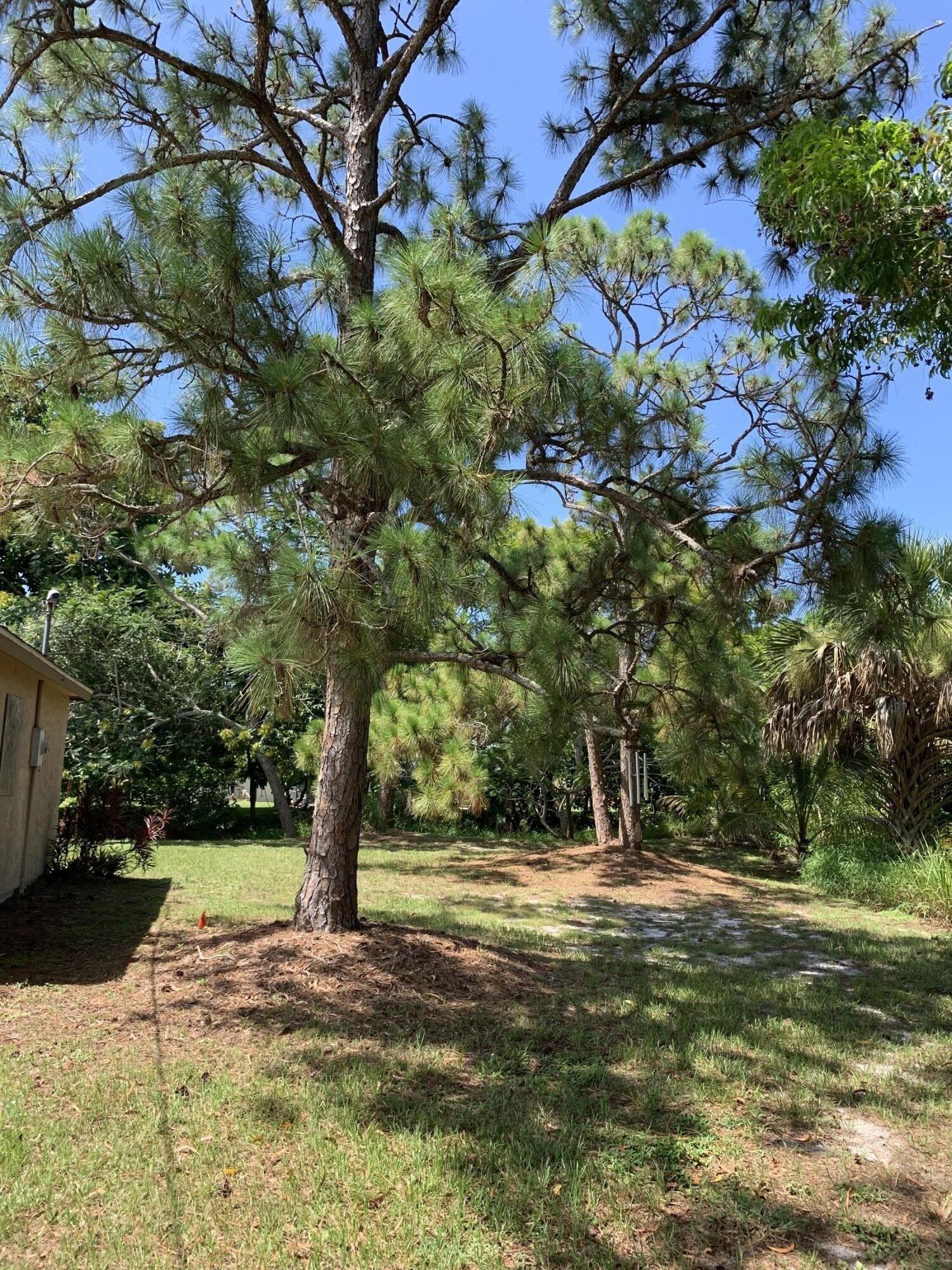 Se Lansdowne Ave, Port Saint Lucie, FL 34983