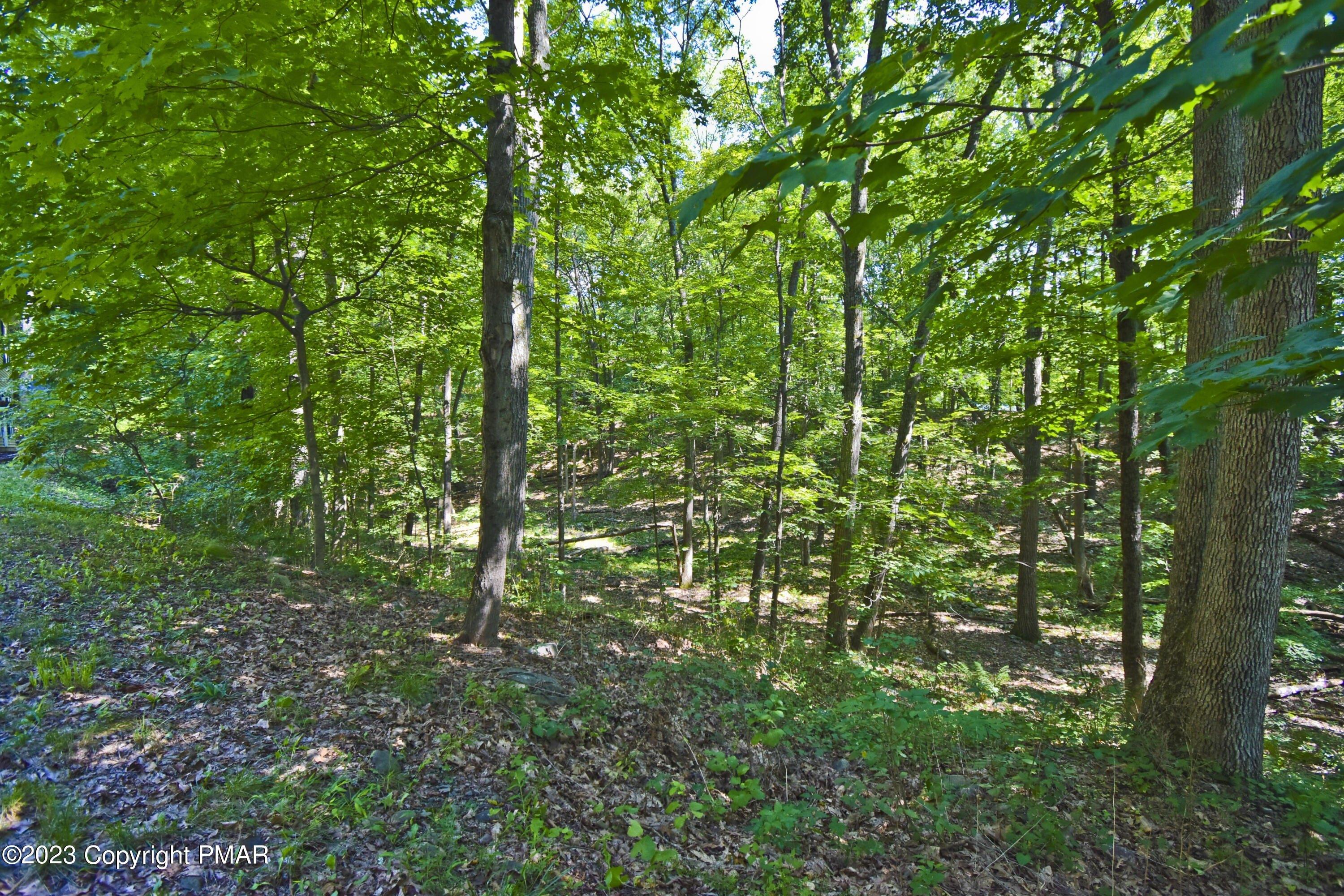 Alwen Ave, East Stroudsburg, PA 18301