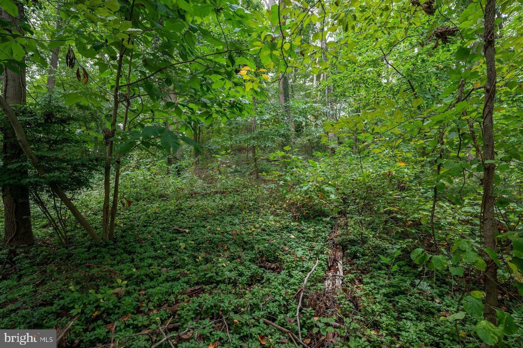 Kerns Rd, Falls Church, VA 22042