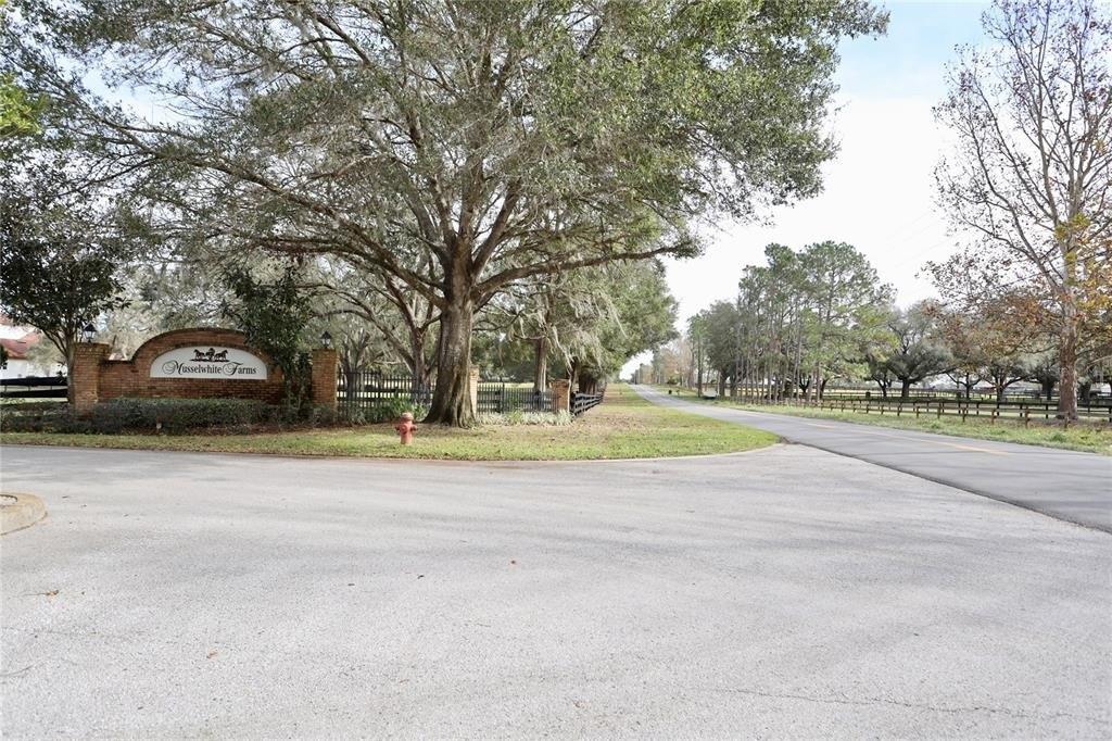 Can Do Ln, Tavares, FL 32778