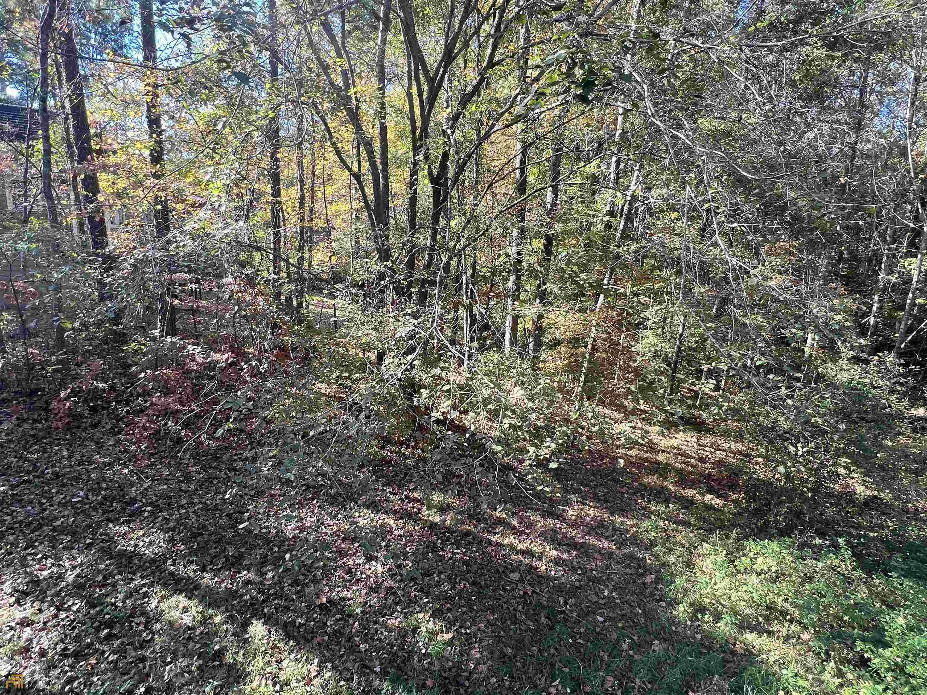 Jefferson Ln, Douglasville, GA 30134