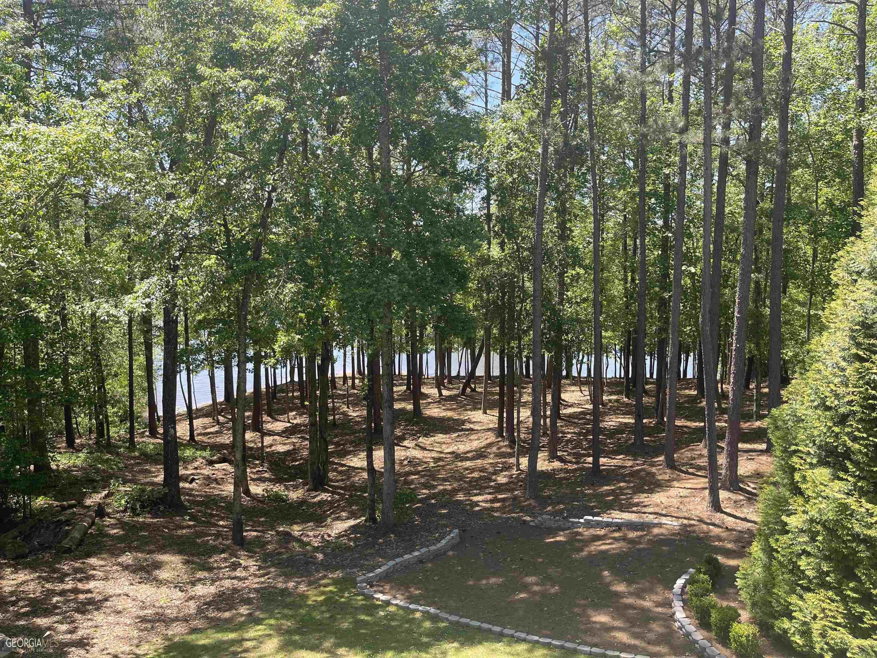 Driftwood Ct, Newnan, GA 30263