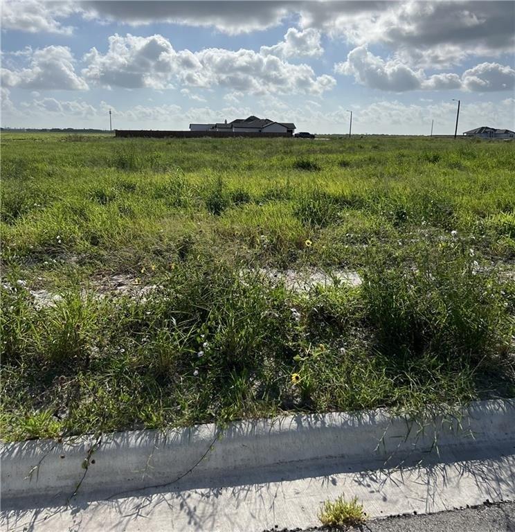 Papa Mori Dr, Corpus Christi, TX 78414