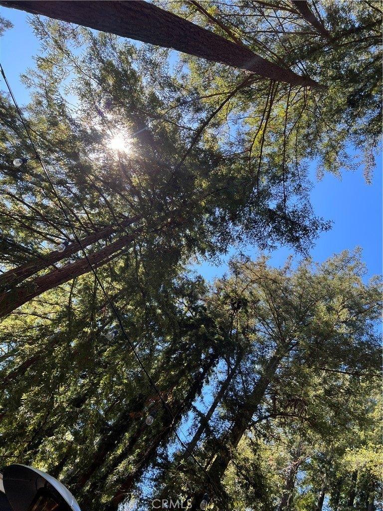 Lompico Rd, Felton, CA 95018