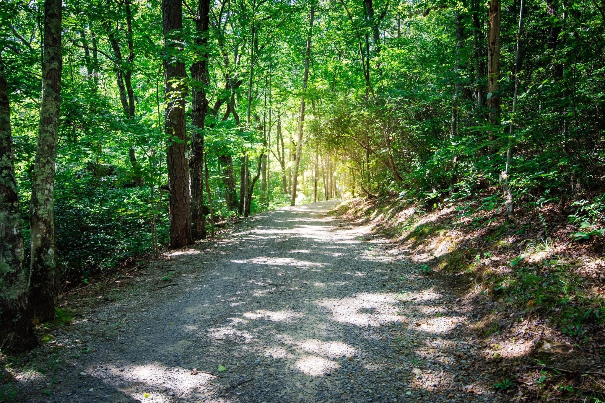 Deep Woods Dr, Dunlap, TN 37327