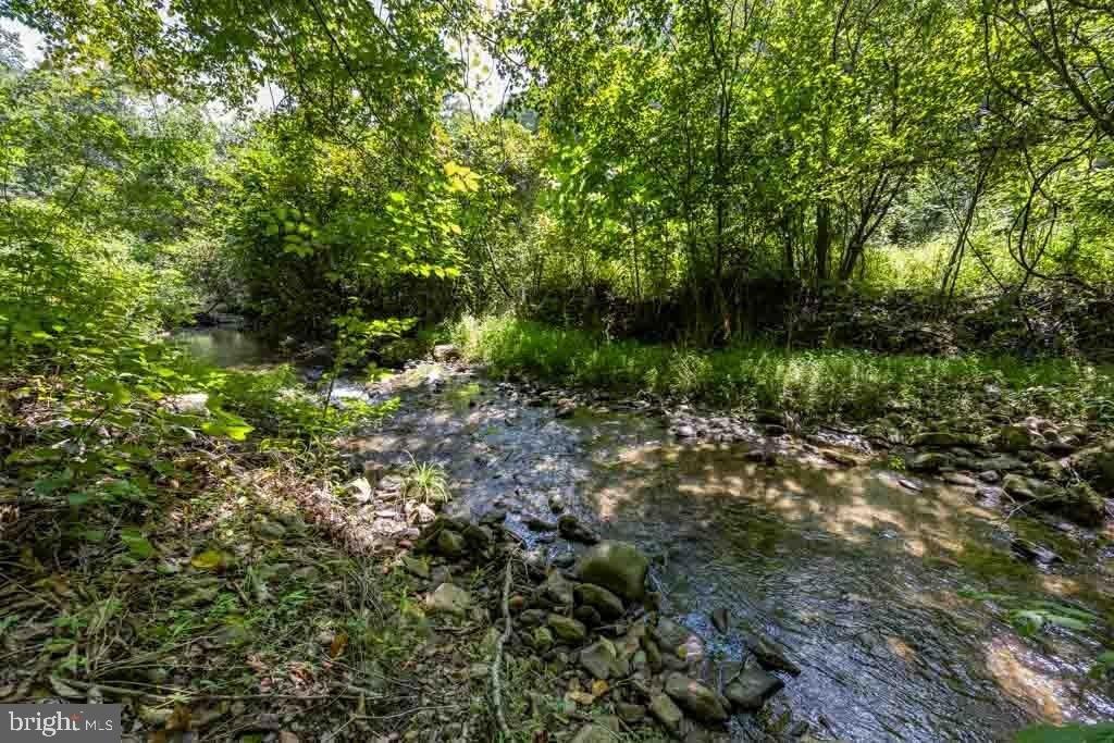 Lost Lakeview Rd, Madison, VA 22727