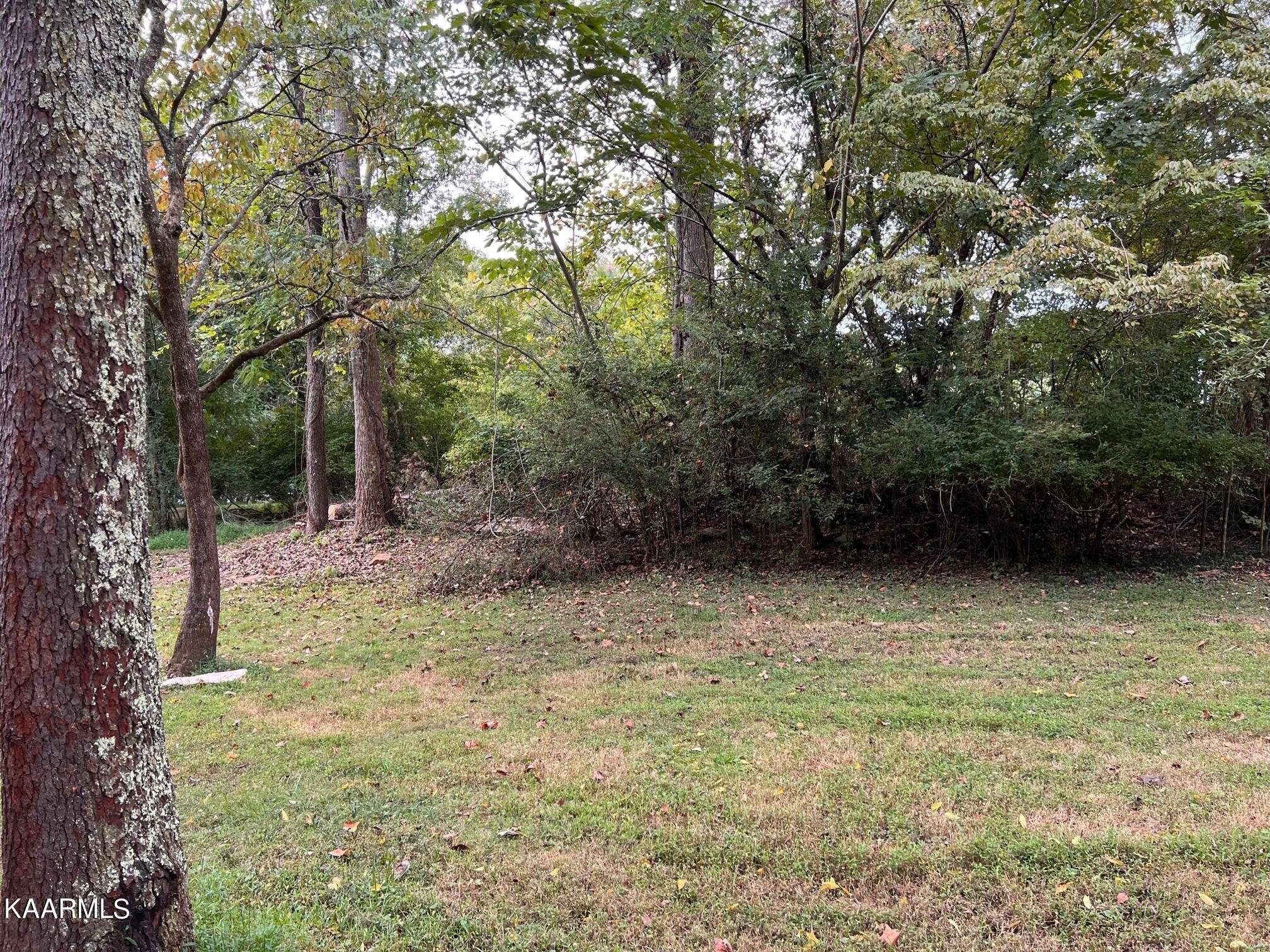 Light Pink Rd, Louisville, TN 37777
